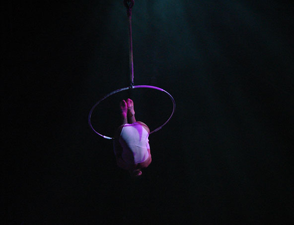 Aerialists Brisbane - Trapeze Artists - Aerial Entertainment Performers